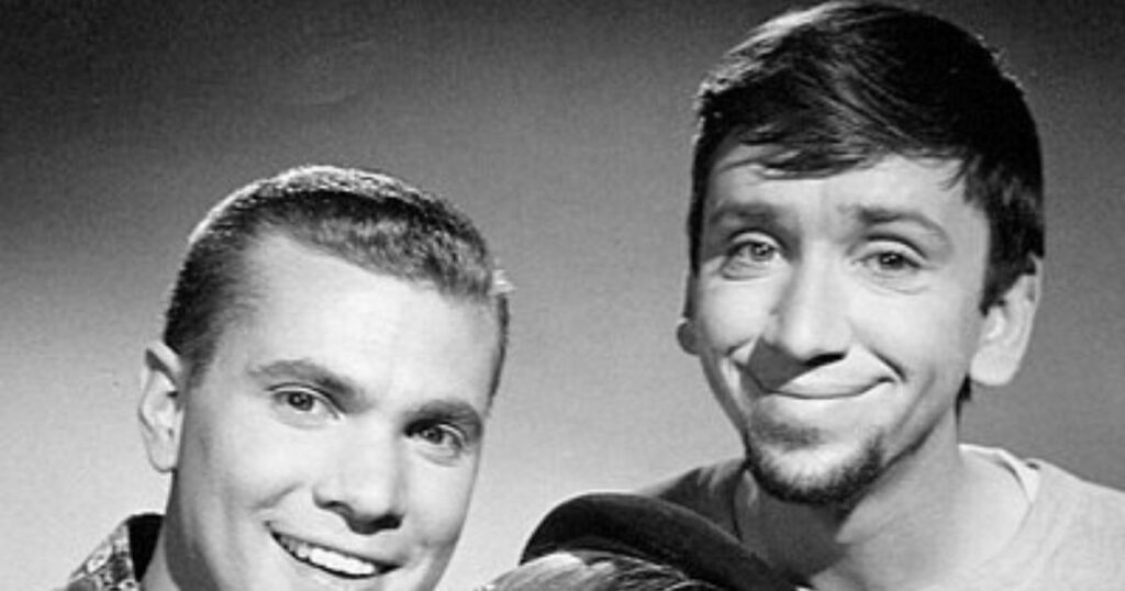Bob Denver Professional Life