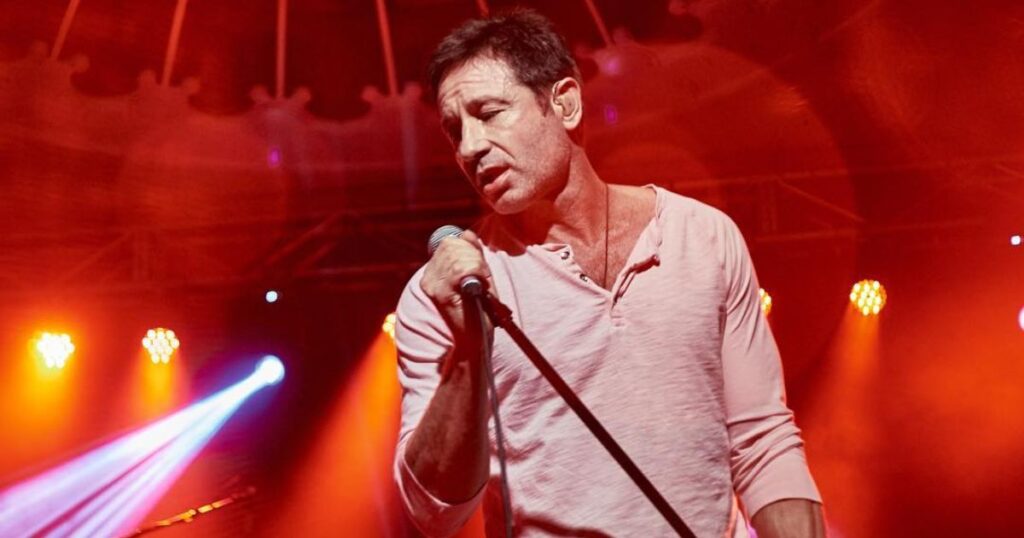David Duchovny Professional Life